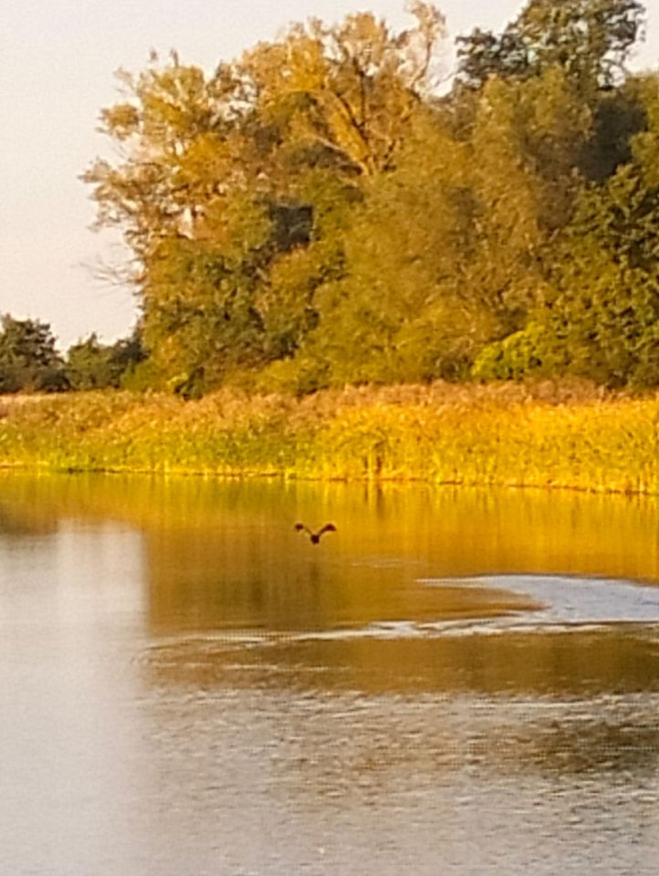 Działka rolno-budowlana Sołtyski. Zdjęcie 3