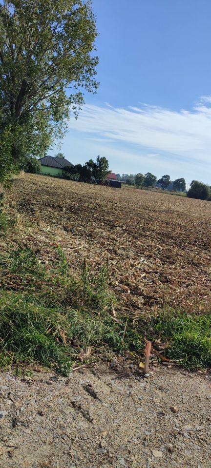 Działka budowlana Piotrków Borowski. Zdjęcie 5