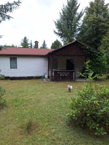 Działka rod Siedlątków. Zdjęcie 1