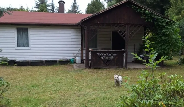 Działka rod Siedlątków