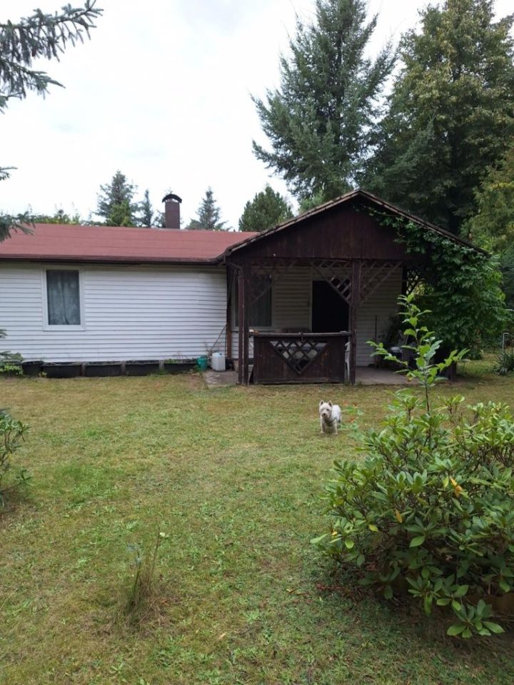 Działka rod Siedlątków. Zdjęcie 1