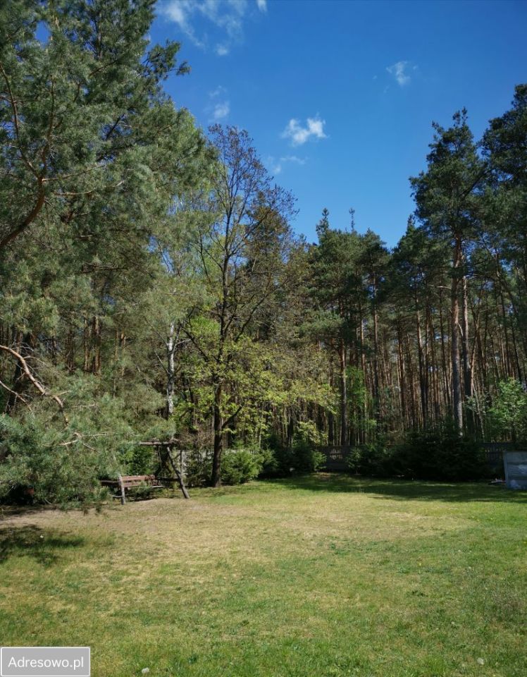 dom wolnostojący, 6 pokoi Wieleń. Zdjęcie 3