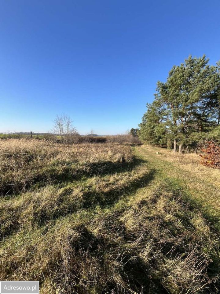 Działka budowlana Słosinko. Zdjęcie 7