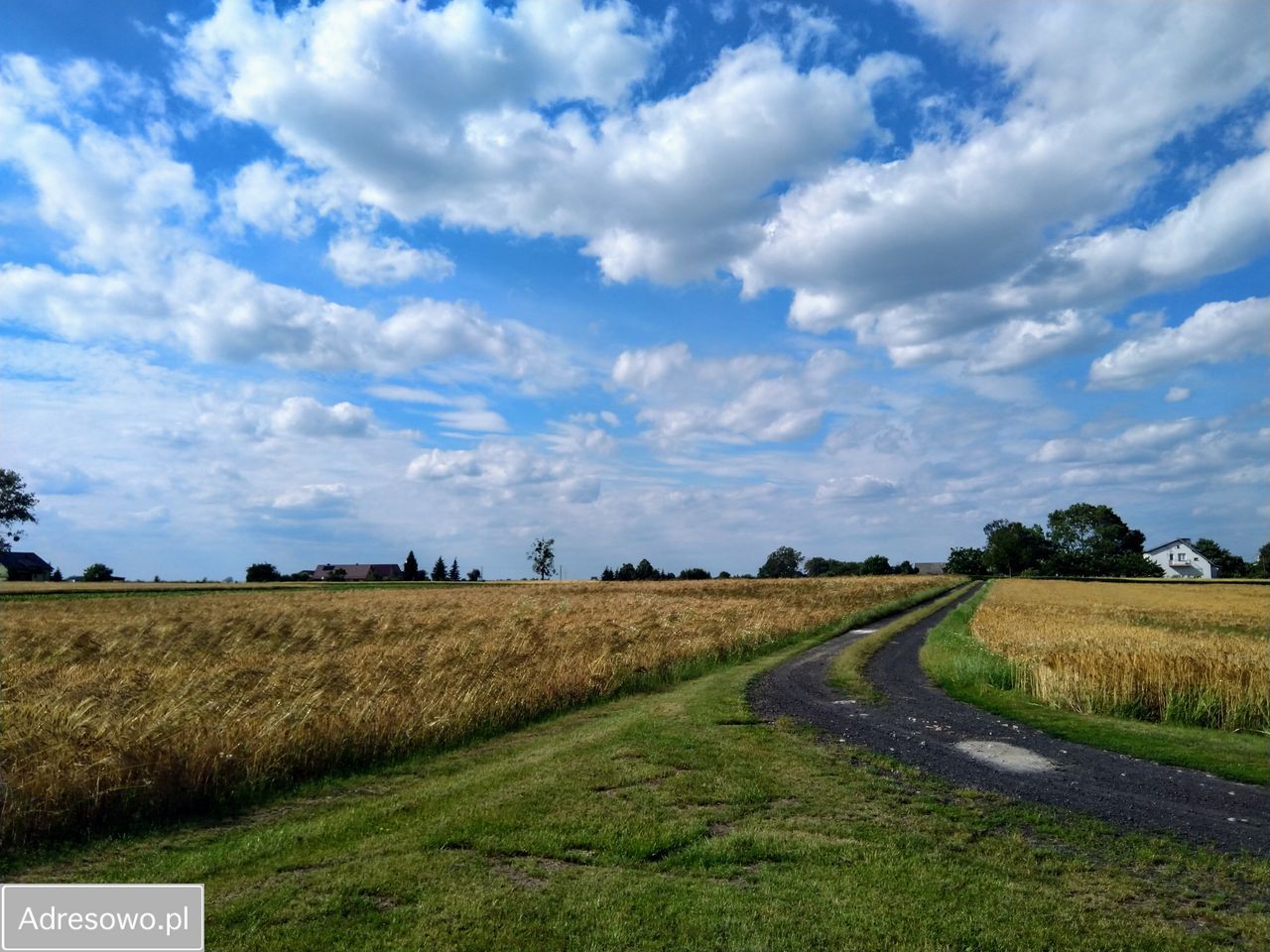 siedlisko Taszewskie Pole. Zdjęcie 4