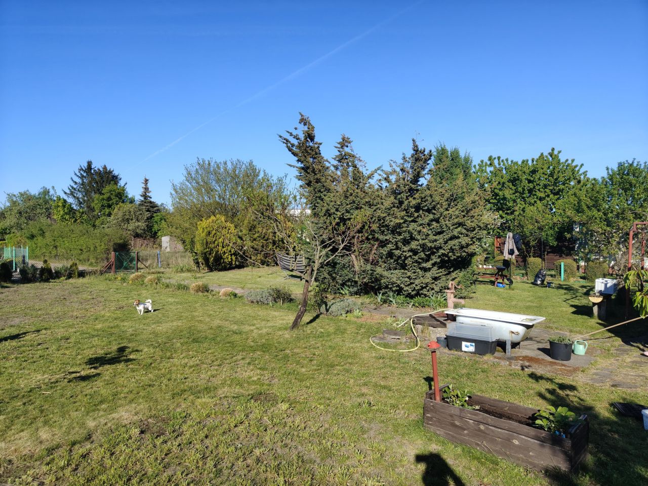 Działka rod Leszno, ul. Spółdzielcza. Zdjęcie 8