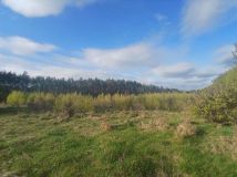 Działka inwestycyjna Rudno Jeziorowe. Zdjęcie 2