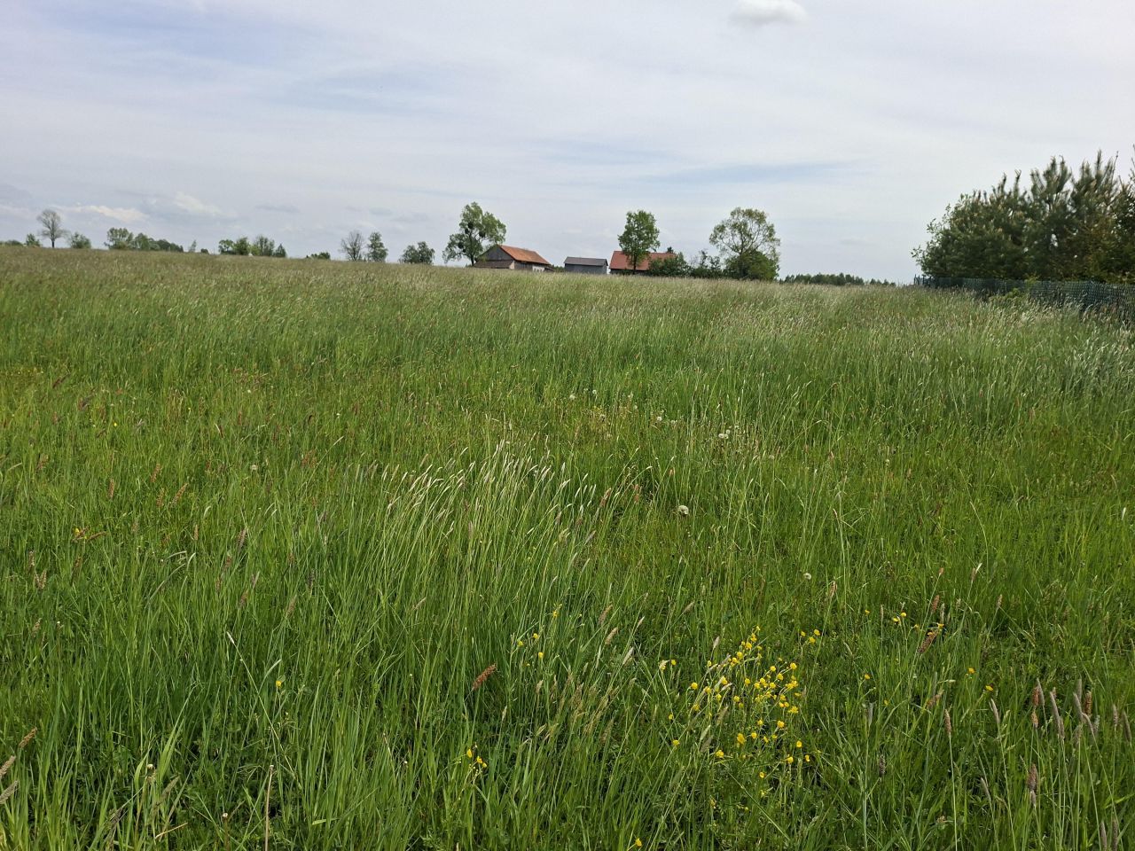 Działka budowlana Wielochowo. Zdjęcie 2