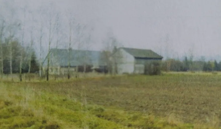 dom wolnostojący, 6 pokoi Domaszków, ul. Śnieżna