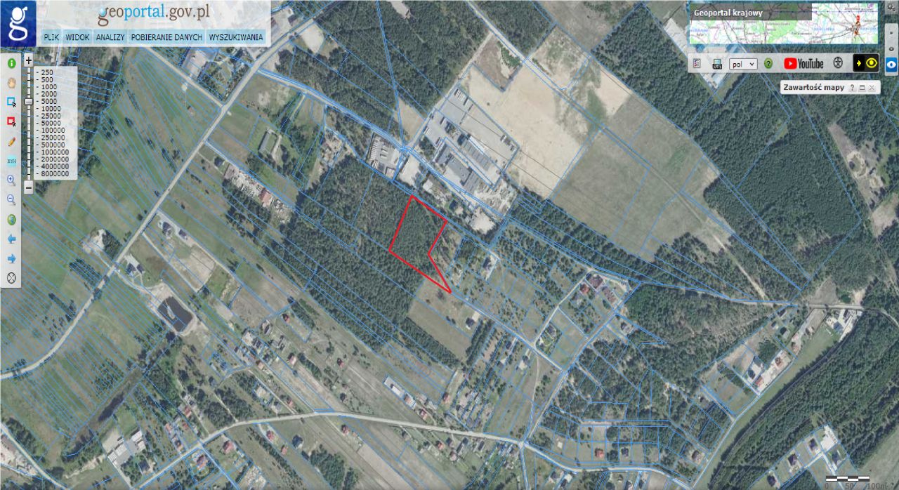 Działka leśna Niwy. Zdjęcie 4