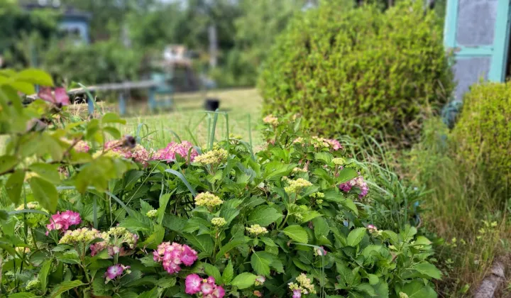 Działka rod Gdynia Wielki Kack, ul. Grodnieńska