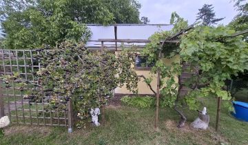 Działka rod Stargard, ul. Spokojna