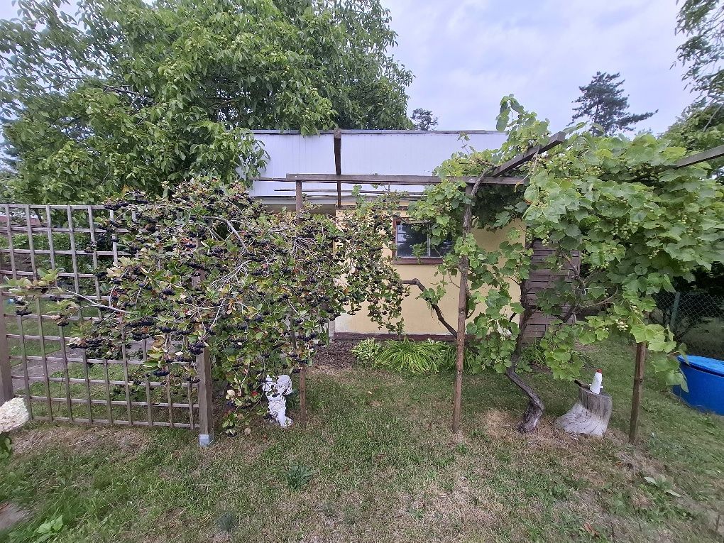 Działka rod Stargard, ul. Spokojna. Zdjęcie 2