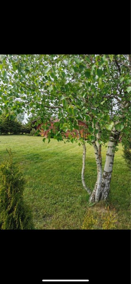 dom letniskowy Sarbinowo, ul. Świerszczy. Zdjęcie 3