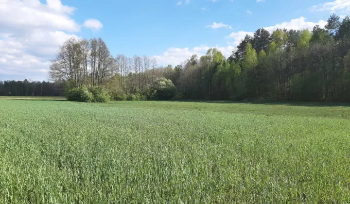 Działka budowlana Hola