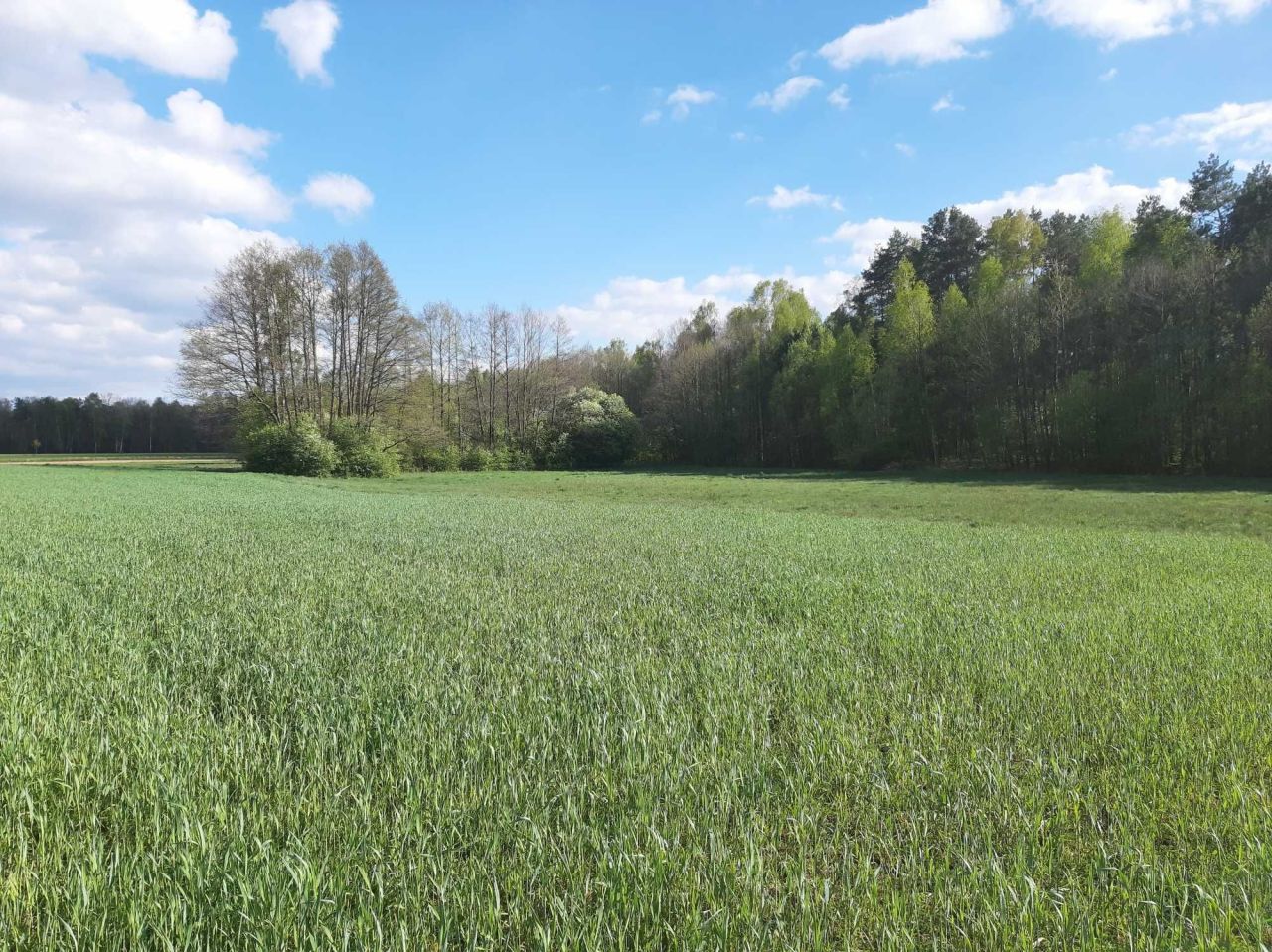 Działka budowlana Hola. Zdjęcie 1