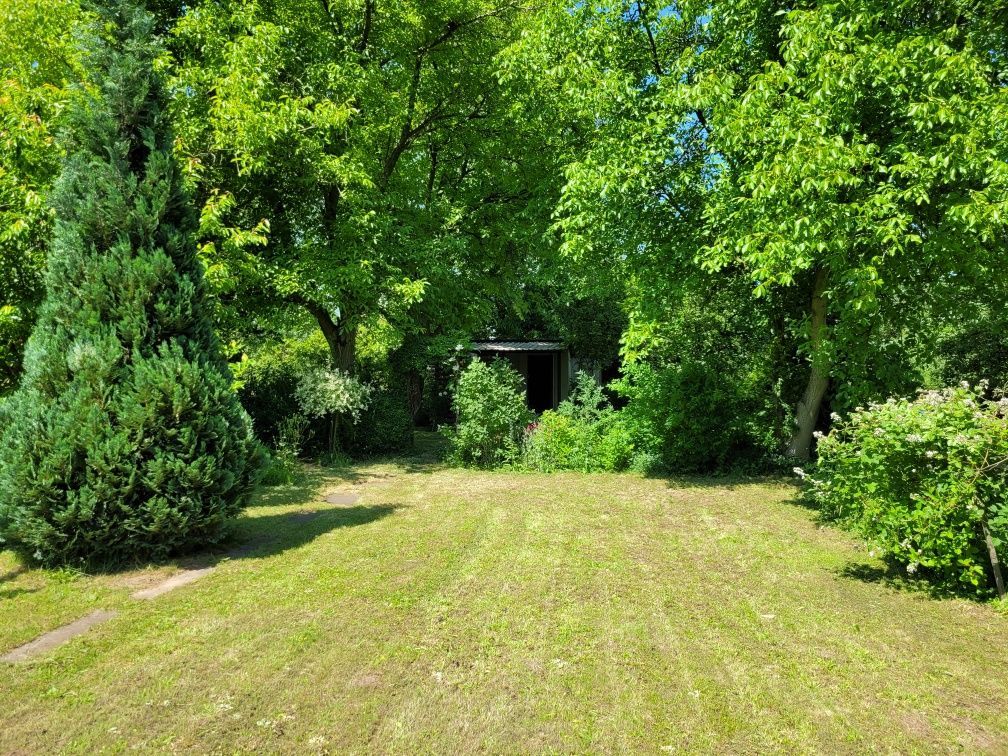 Działka rod Legnica. Zdjęcie 6