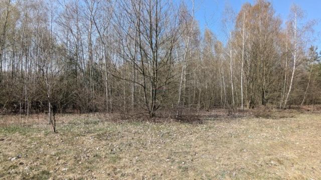 Działka budowlana Kotorydz. Zdjęcie 1