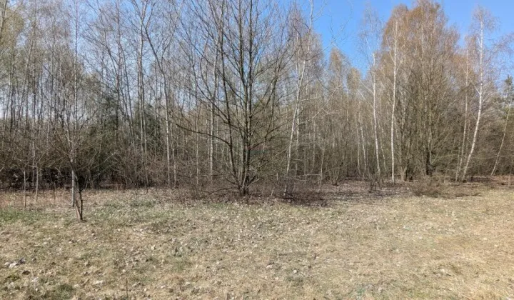 Działka budowlana Kotorydz