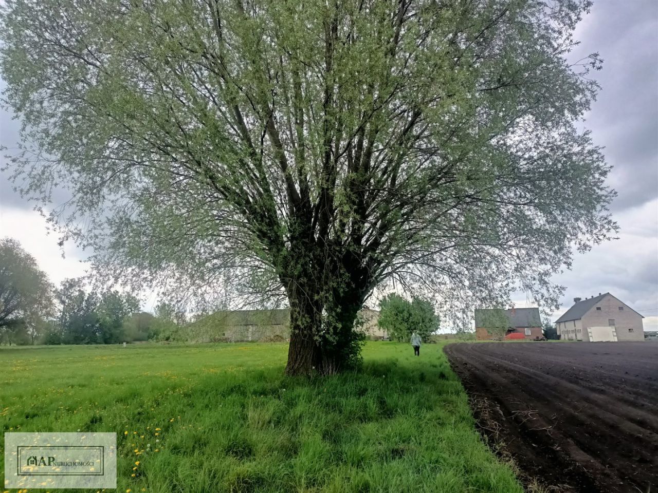 Działka Jabłków. Zdjęcie 14