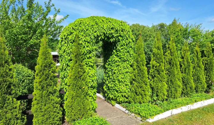 Działka rod Słupsk, ul. Gdyńska