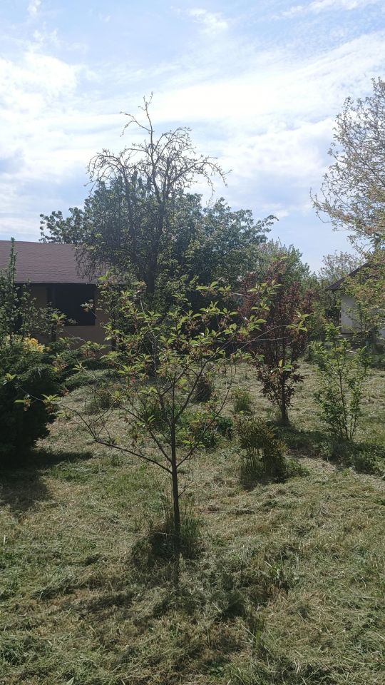 Działka rod Legnica, Ziemnice. Zdjęcie 14