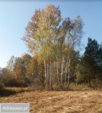 Działka budowlana Śladów. Zdjęcie 3