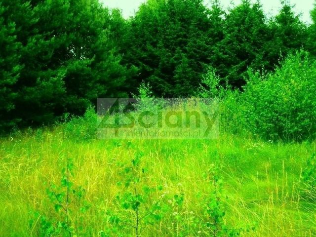 Działka budowlana Łępice. Zdjęcie 4