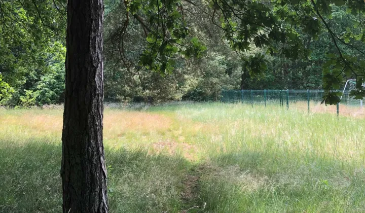 Działka rolno-budowlana Brzózki