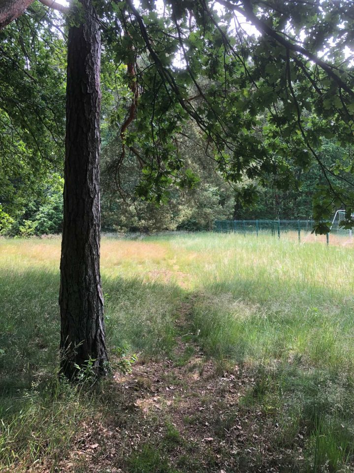 Działka rolno-budowlana Brzózki