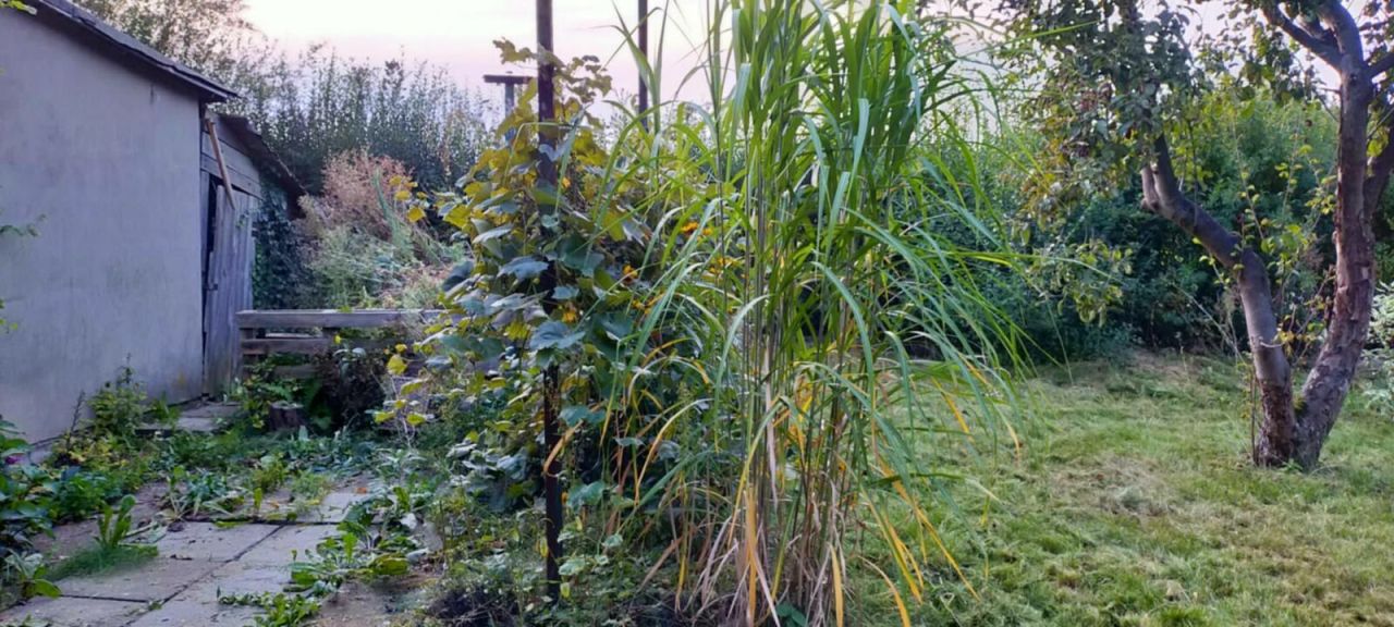 Działka rod Gostynin Bratoszewo. Zdjęcie 10