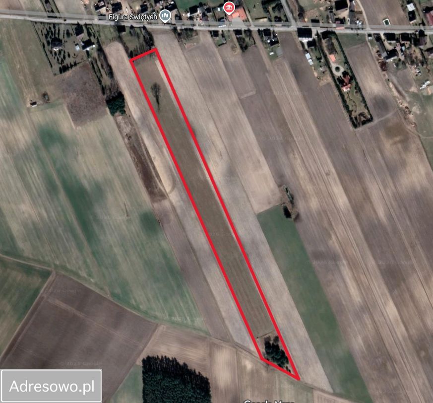 Działka rolno-budowlana Nowy Sumin. Zdjęcie 3