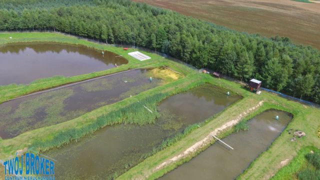 Nieruchomość komercyjna Bytów. Zdjęcie 12