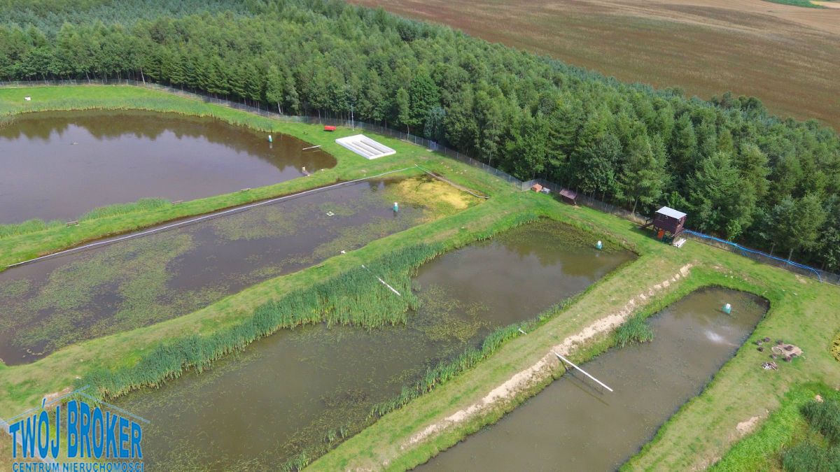 Nieruchomość komercyjna Bytów. Zdjęcie 12
