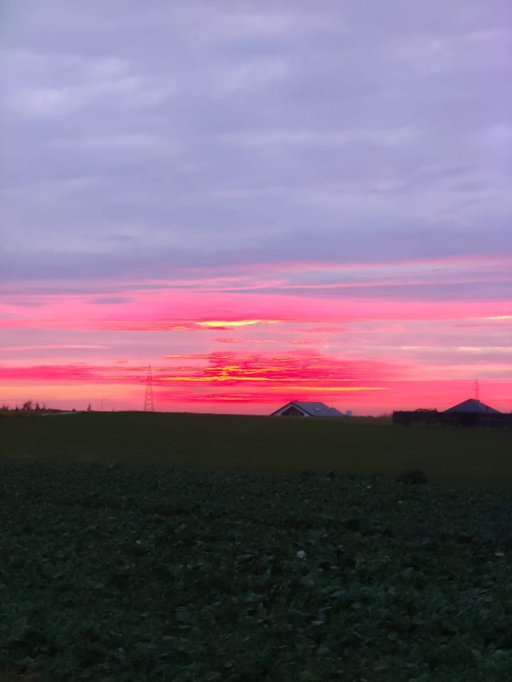 Działka budowlana Kazimierzówka, ul. Wierzbowa. Zdjęcie 6