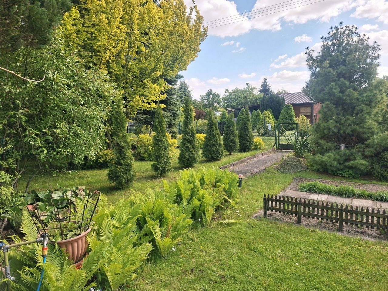 Działka rod Siedlce, ul. Graniczna