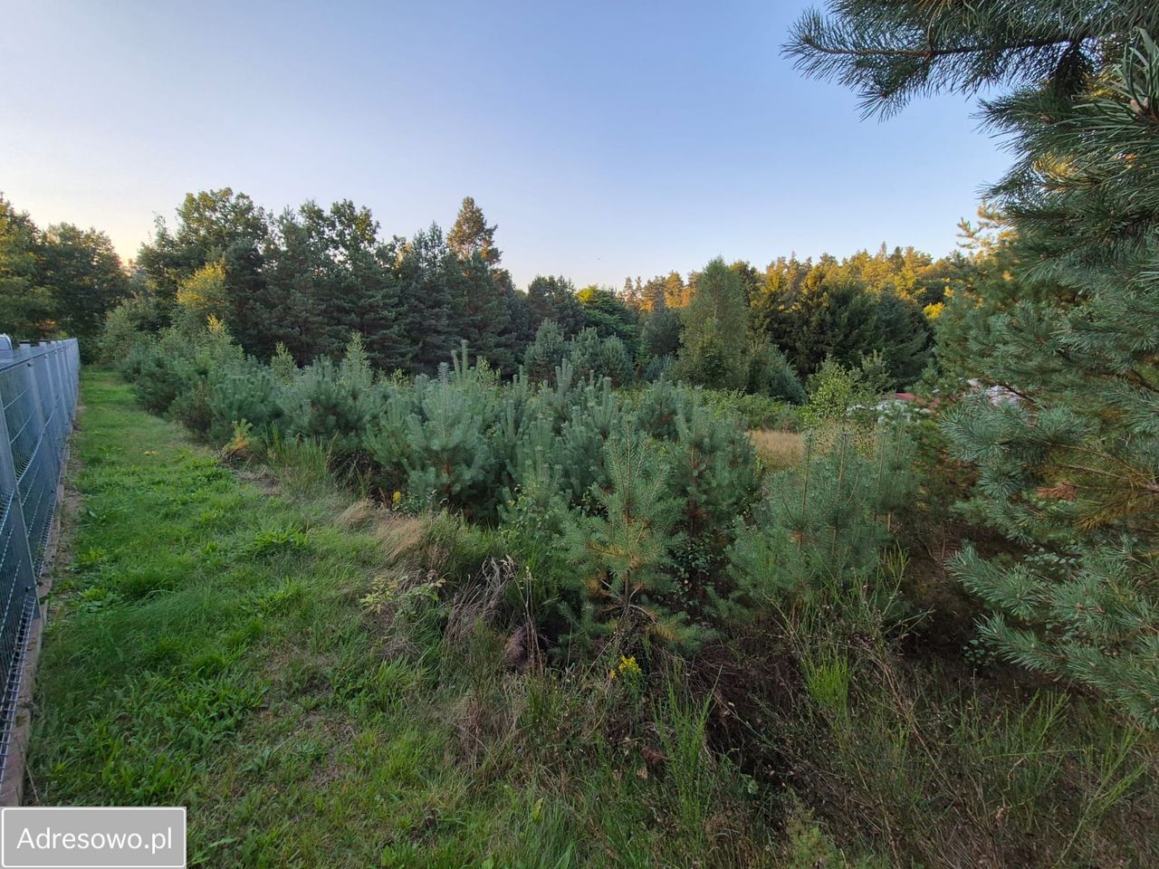 Działka budowlana Jutrzenka. Zdjęcie 8