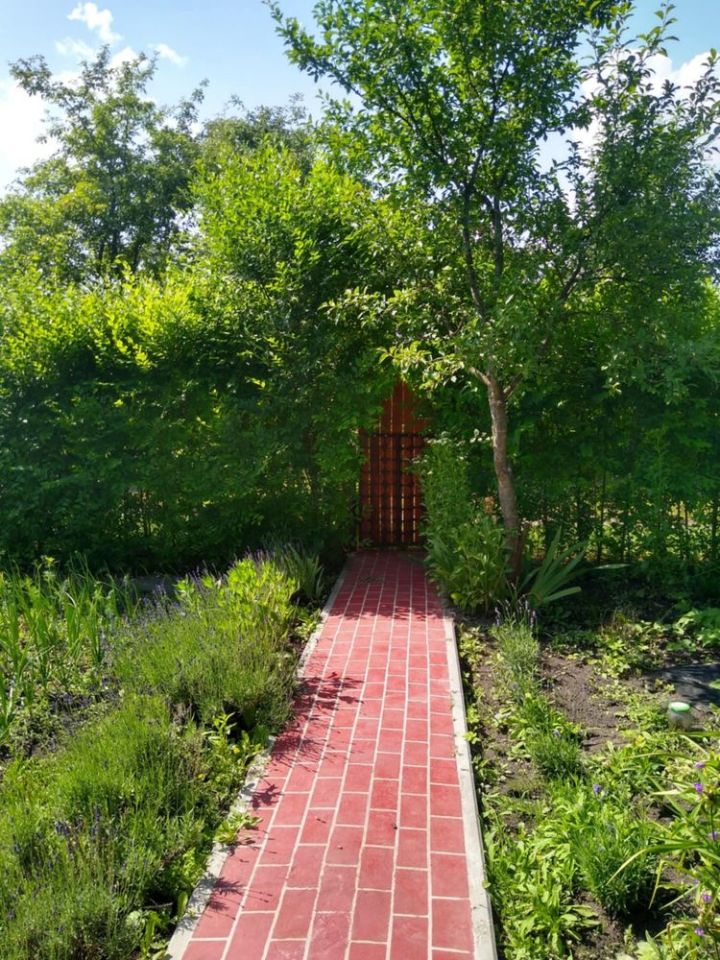 Działka rod Siedlce. Zdjęcie 1