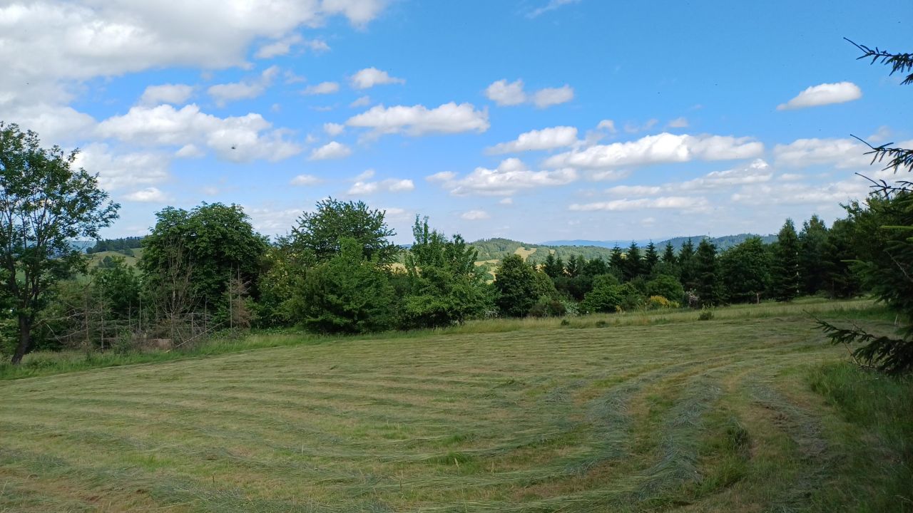 Działka rolna Krajanów. Zdjęcie 11