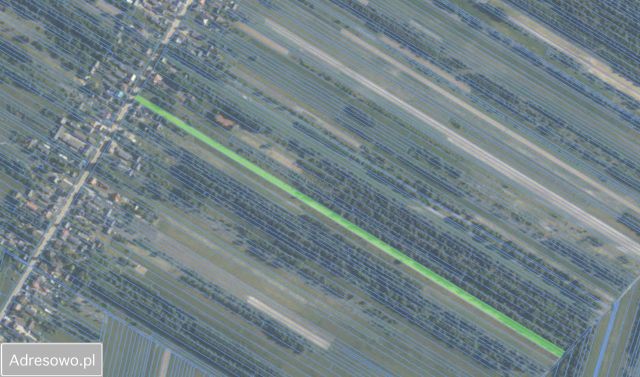 Działka rolno-budowlana Jagodne. Zdjęcie 1