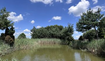 dom wolnostojący, 2 pokoje Ciepielów-Kolonia Ciepielów Drugi