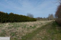 Działka rolna Łasin Koszaliński. Zdjęcie 1