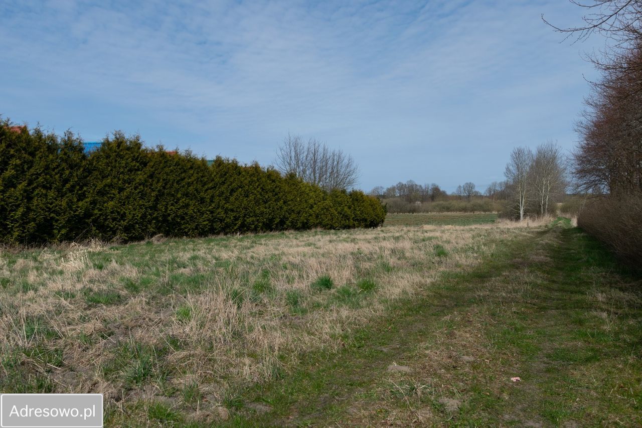 Działka rolna Łasin Koszaliński. Zdjęcie 2