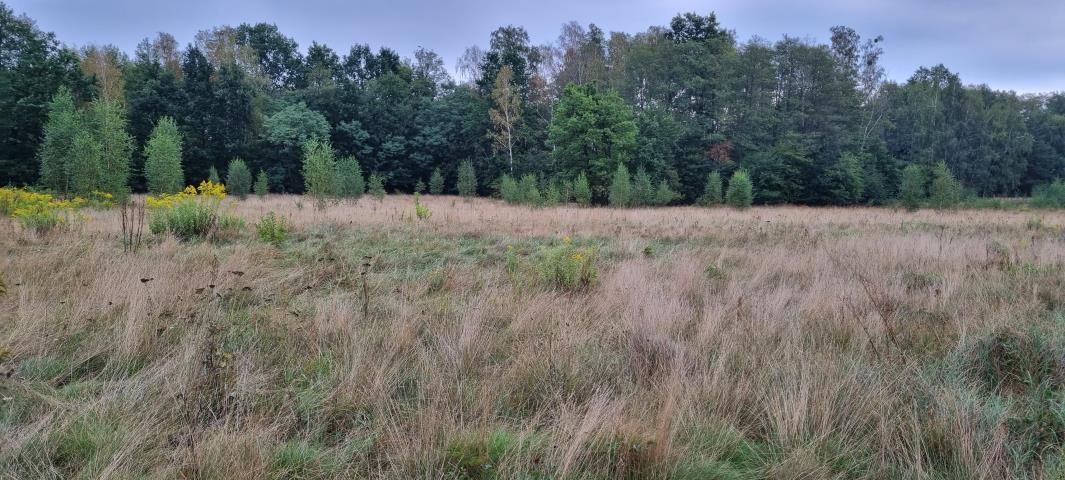 Działka budowlana Owczarnia