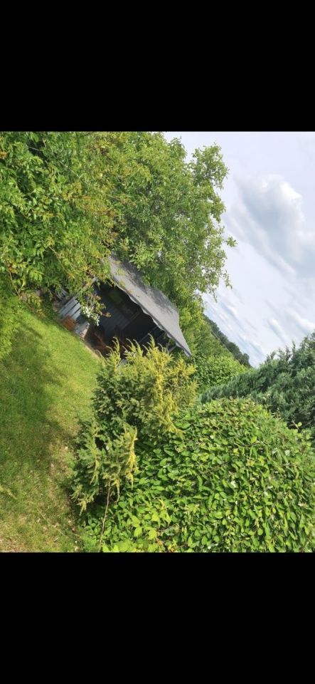 Działka rod Rypin. Zdjęcie 2