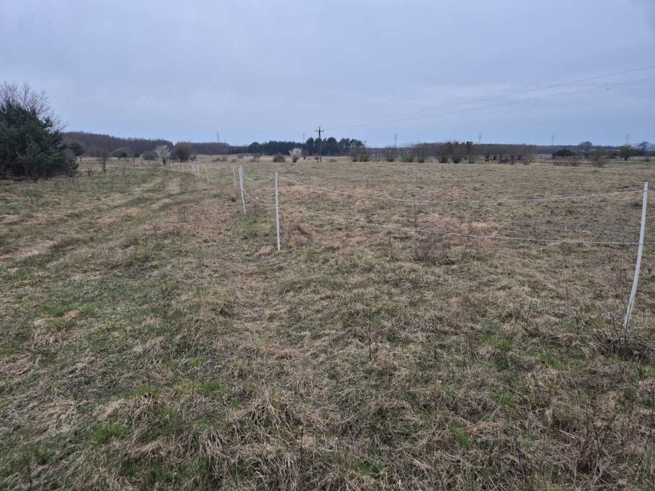 Działka budowlana Chocień. Zdjęcie 1