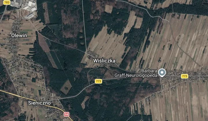 Działka leśna Wiśliczka