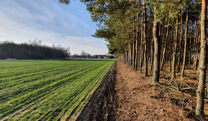 Działka rolno-budowlana Osiek Zamoście