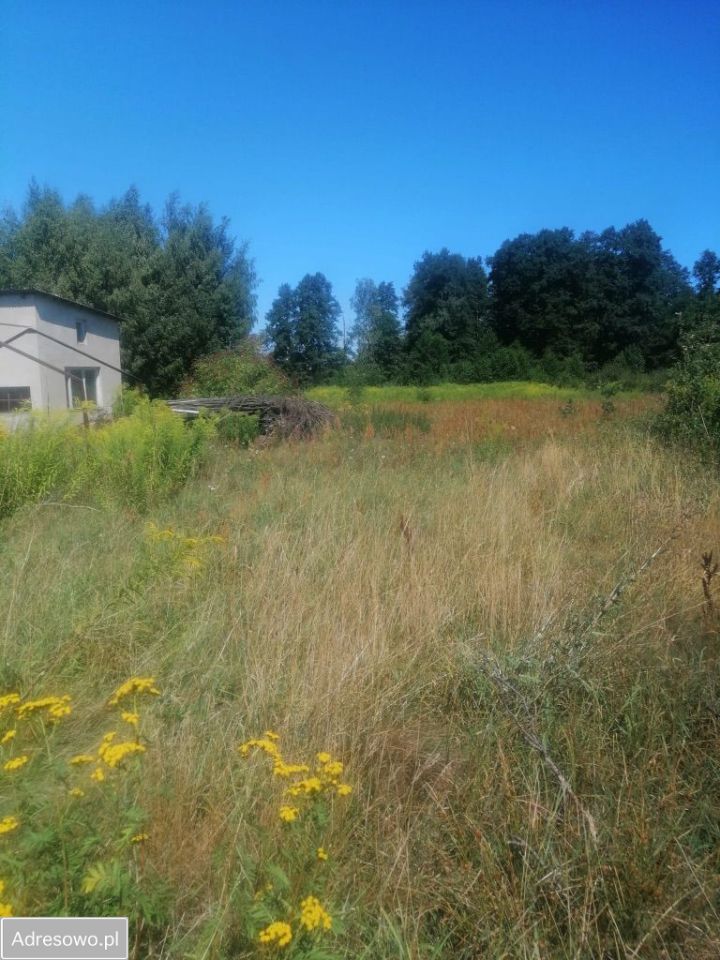 Działka rolna Łódź Bałuty, ul. Liściasta. Zdjęcie 5