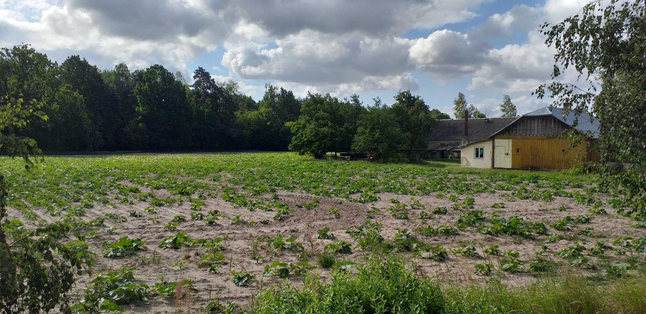 Działka siedliskowa Zahajki-Kolonia. Zdjęcie 7