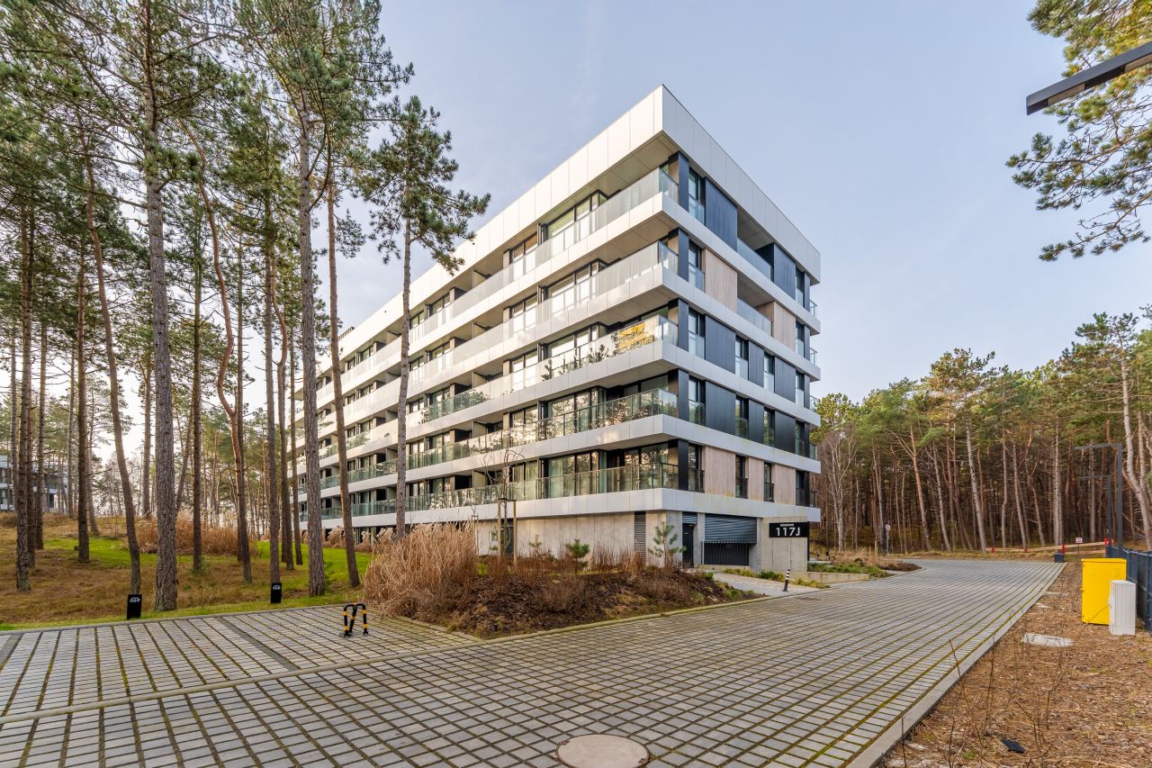 Mieszkanie 2-pokojowe Rogowo. Zdjęcie 43